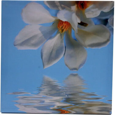White blossom print