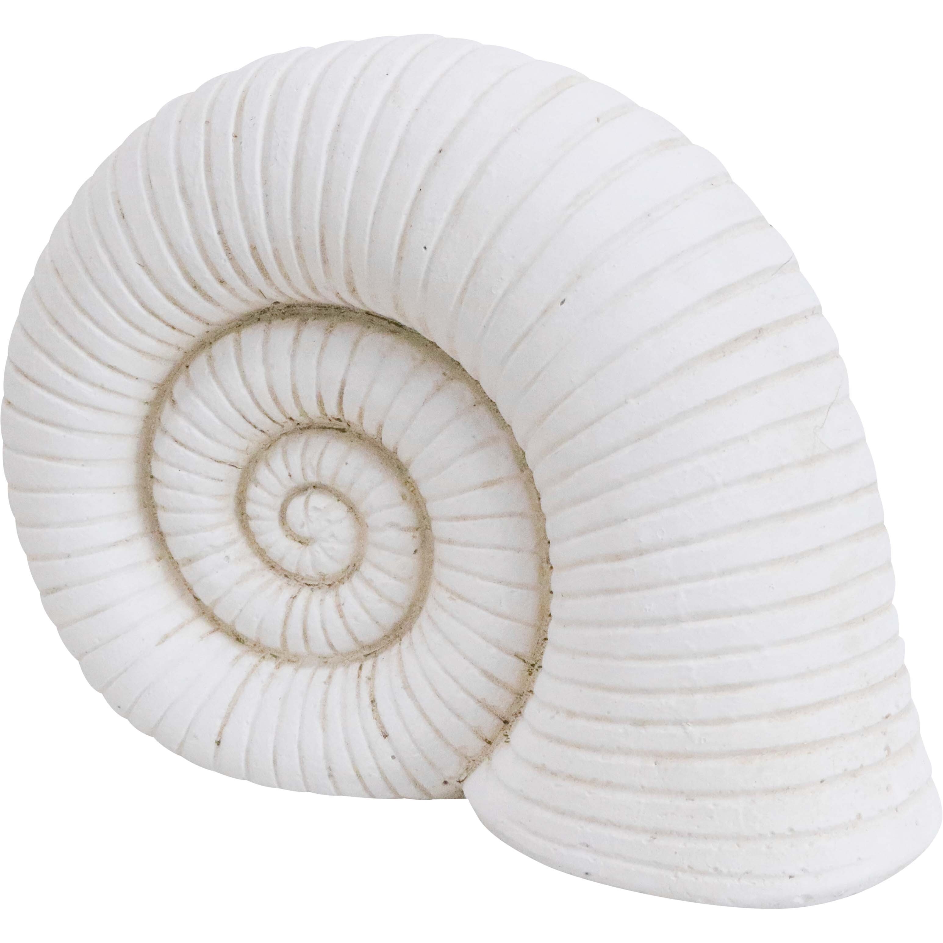 Shell Ornament | Buy Wholesale Decorative Items Online Australia ...